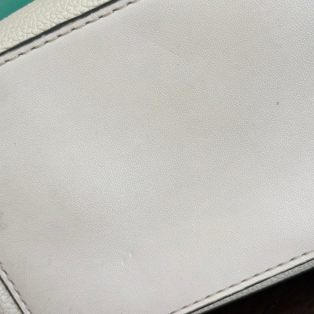 Michael Kors Powder Blush Teagen Small Messenger Crossbody Bag | Pre Loved |