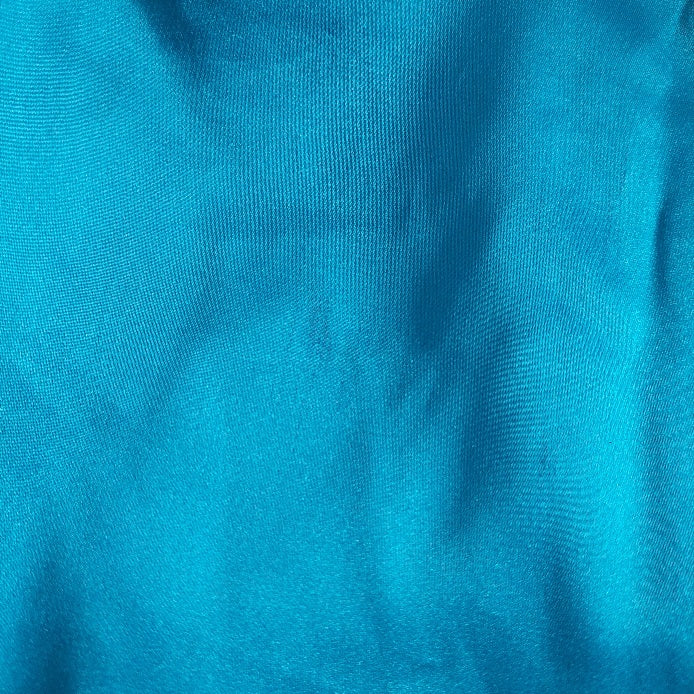 Rachel Zoe Blue Satin Collared Shirt | Brand New |