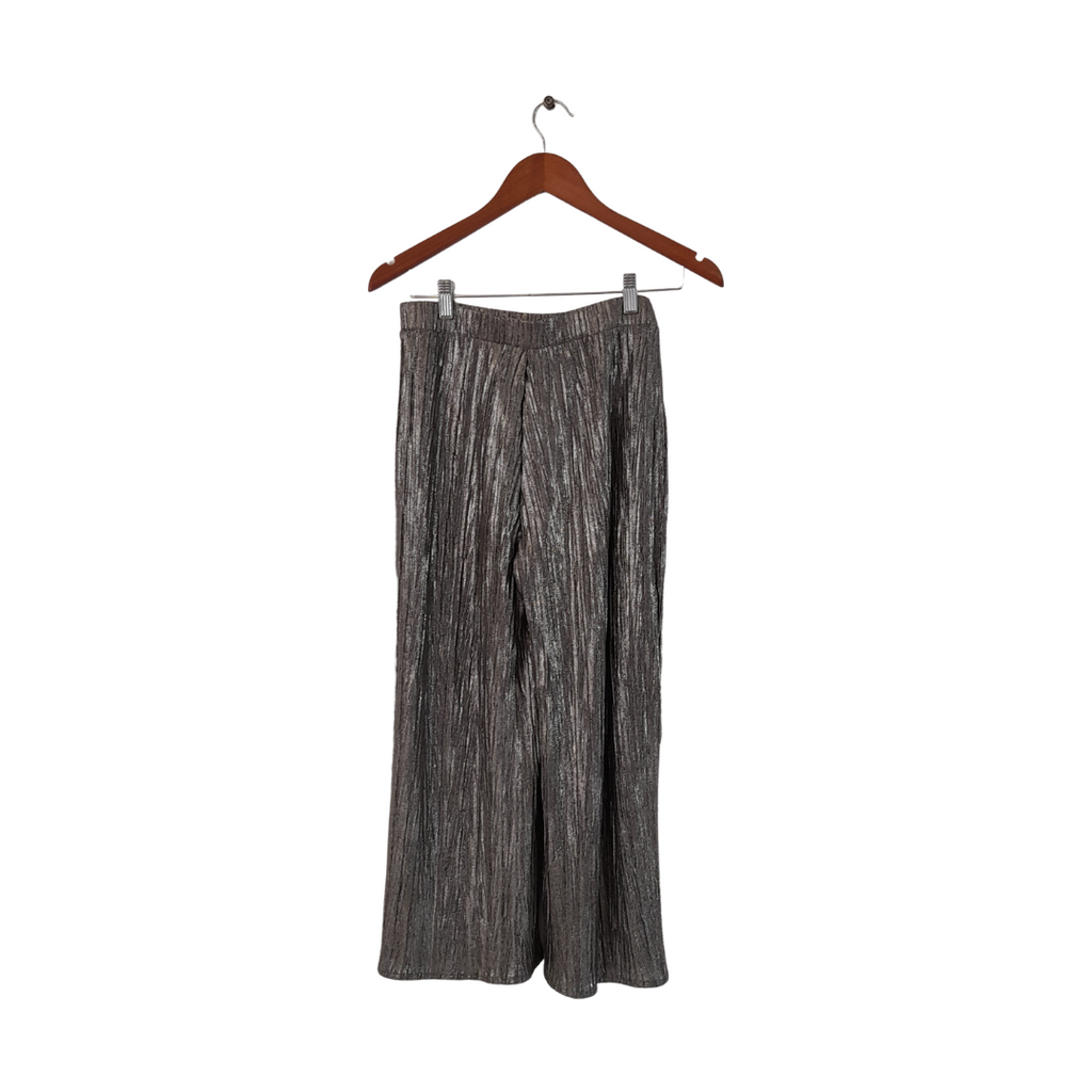 ZARA Metallic Pleated Culotte Pants | Gently Used |