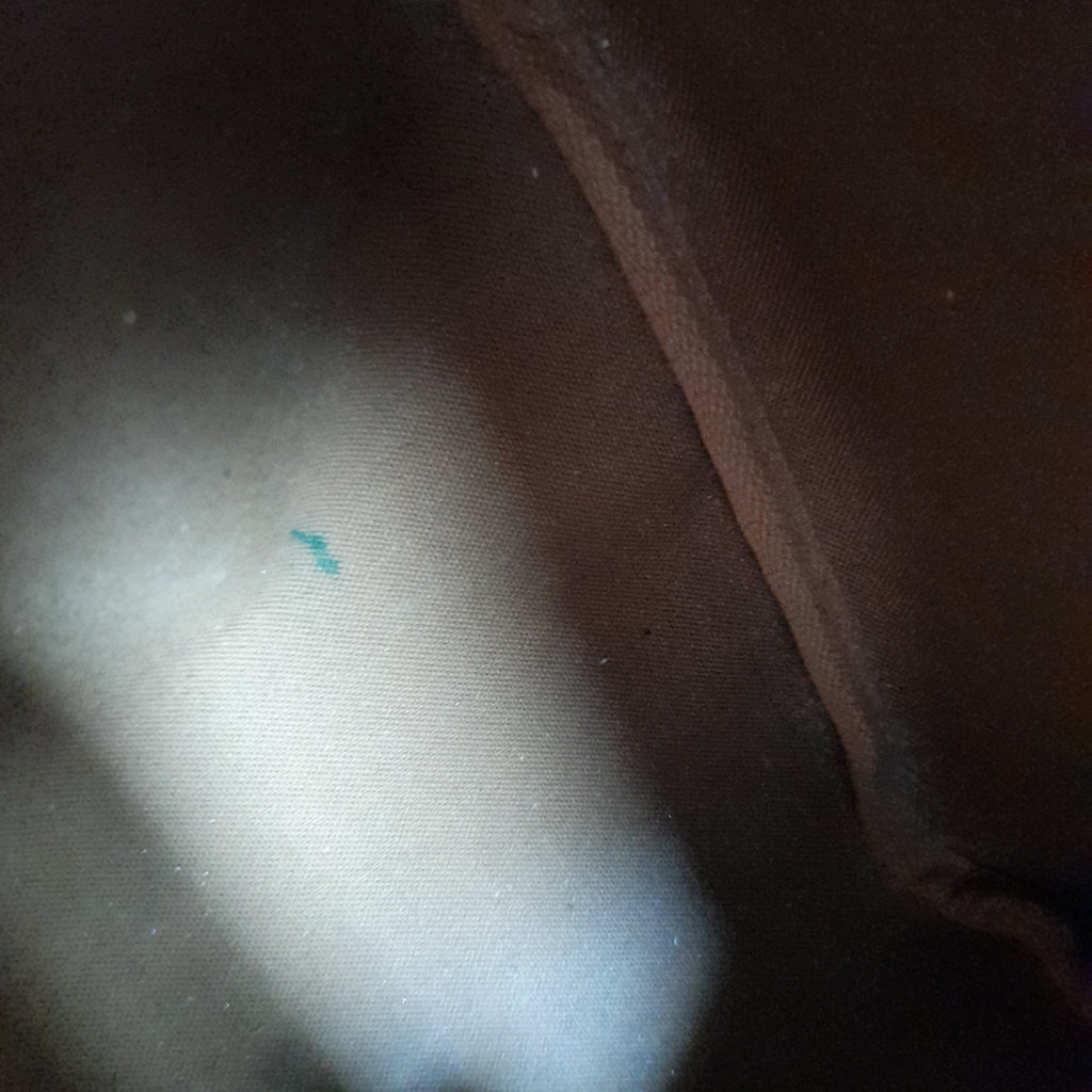 Louis Vuitton Monogram Speedy 30 Tote | Pre Loved |