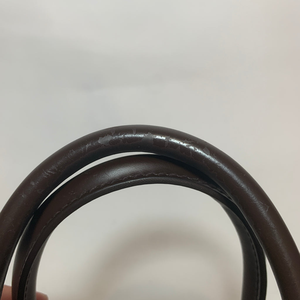 Louis Vuitton Damier Ebene 'Sarria' Mini Tote Bag | Gently Used |