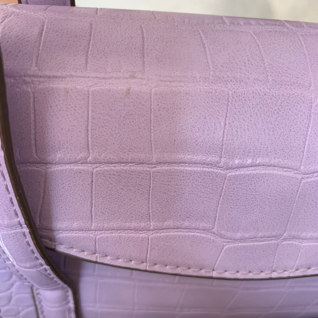 Mango Lilac Mini Satchel | Gently Used |