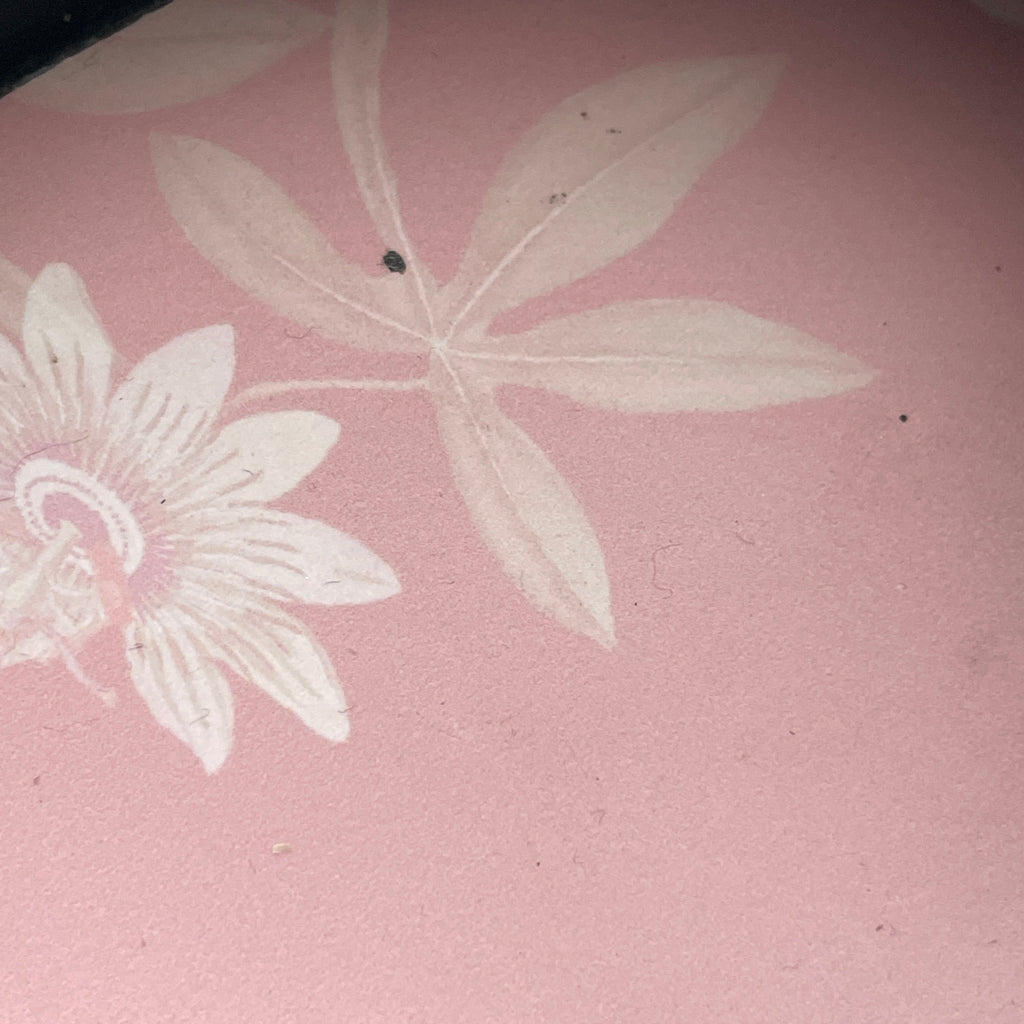 Ted Baker 'DAHLIA" Black Jelly Ballet Flats | Gently Used |