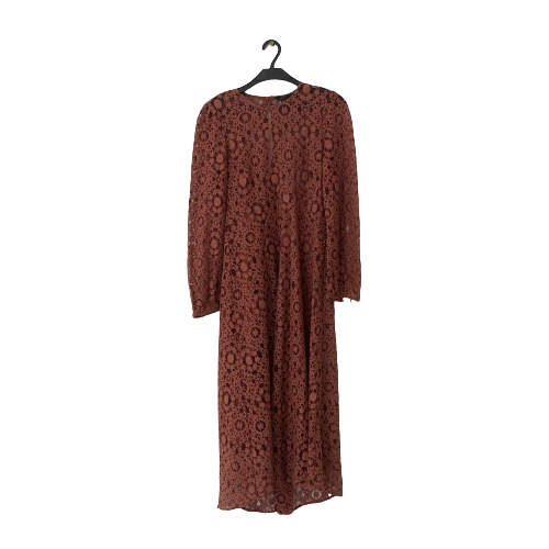 ZARA Brown Net Long-sleeved Dress