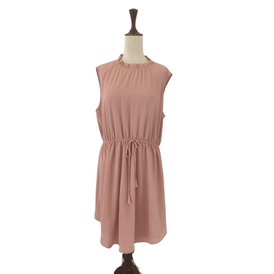 H&M Blush Pink Sleeveless Dress | Gently Used |